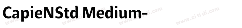 CapieNStd Medium字体转换